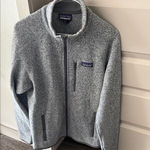 Patagonia Men's Zip-Up Sweater in Light Gray